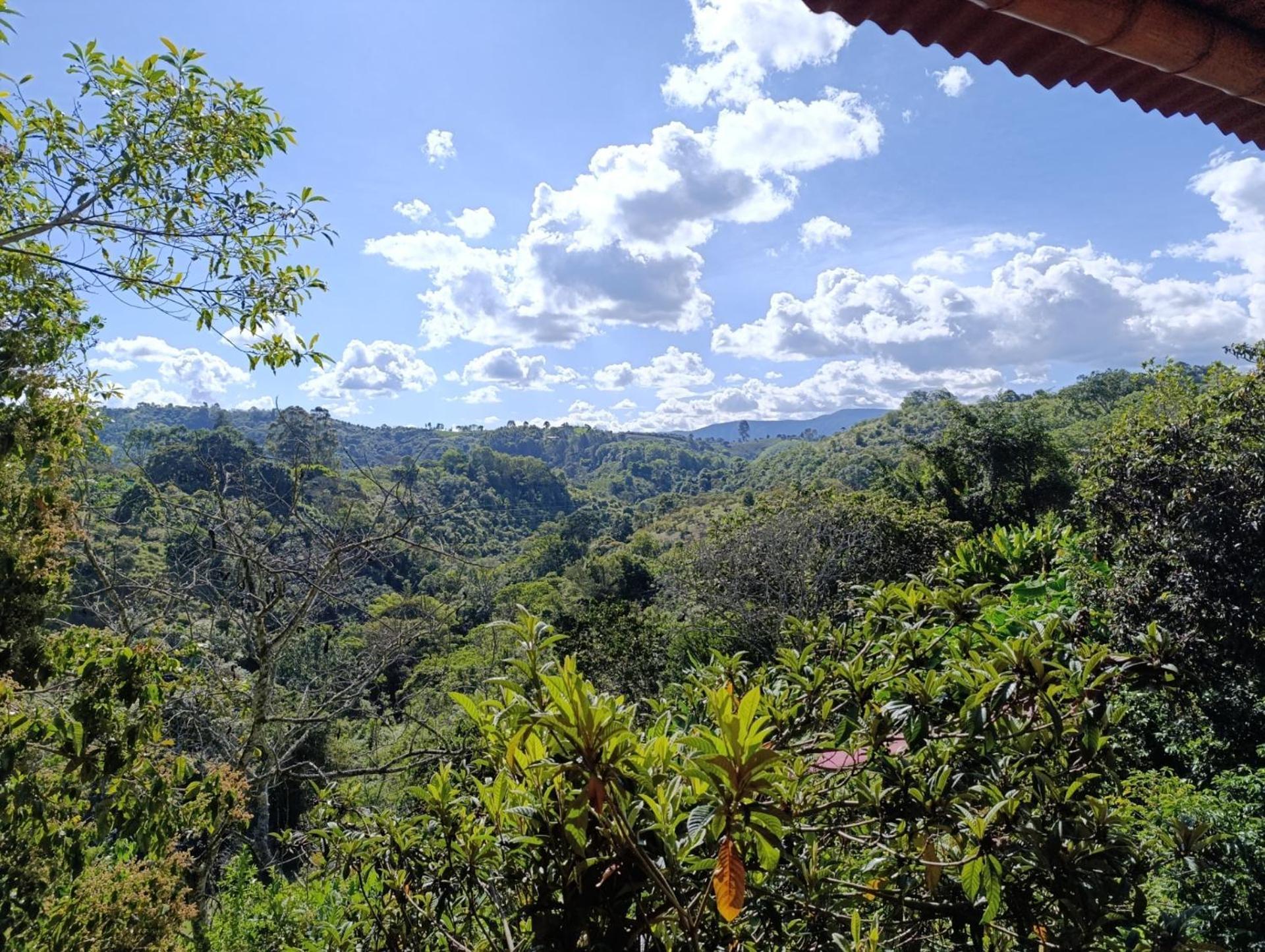 Casa Entera Finca Cometa San Agustín 외부 사진