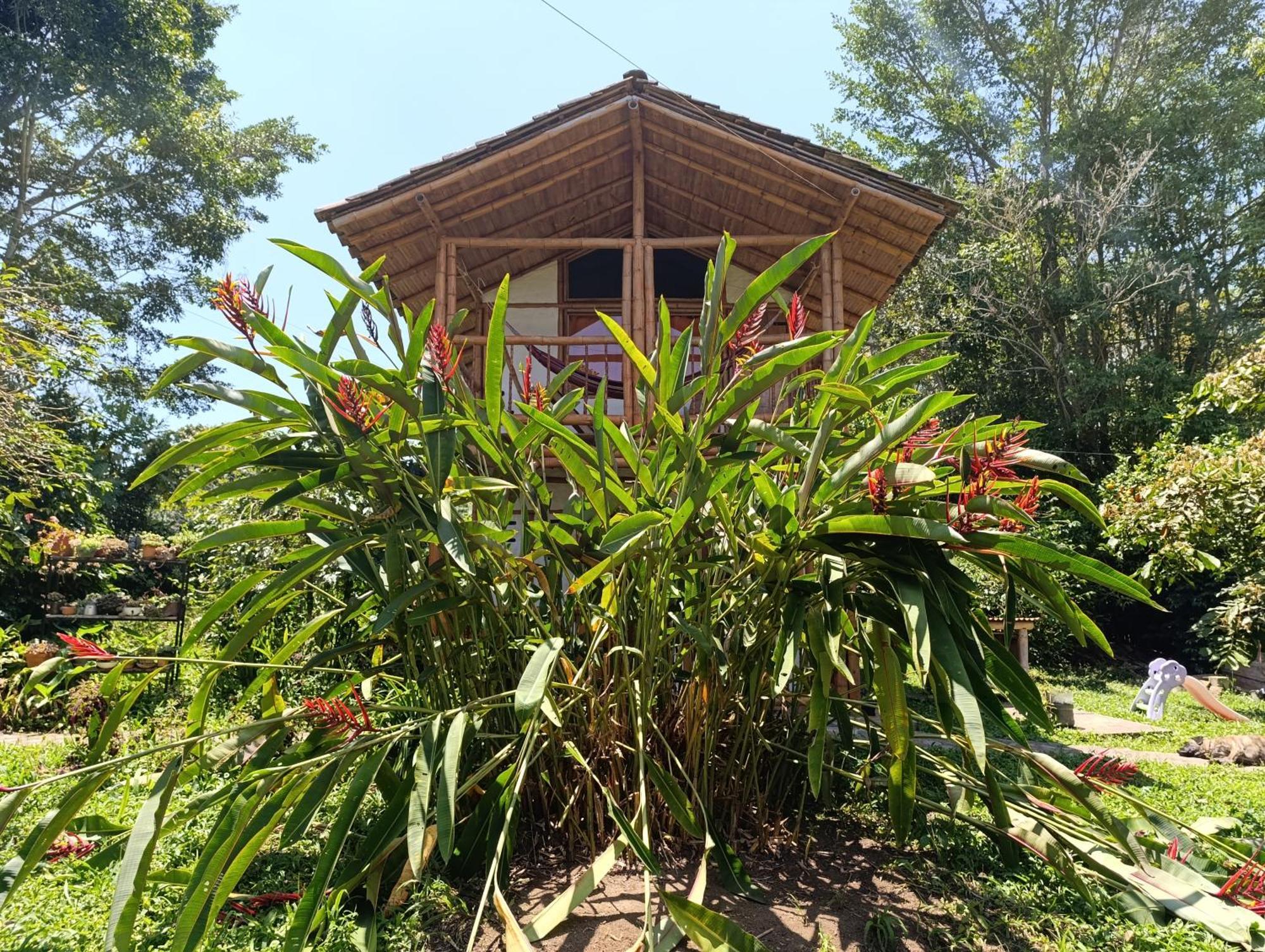 Casa Entera Finca Cometa San Agustín 외부 사진
