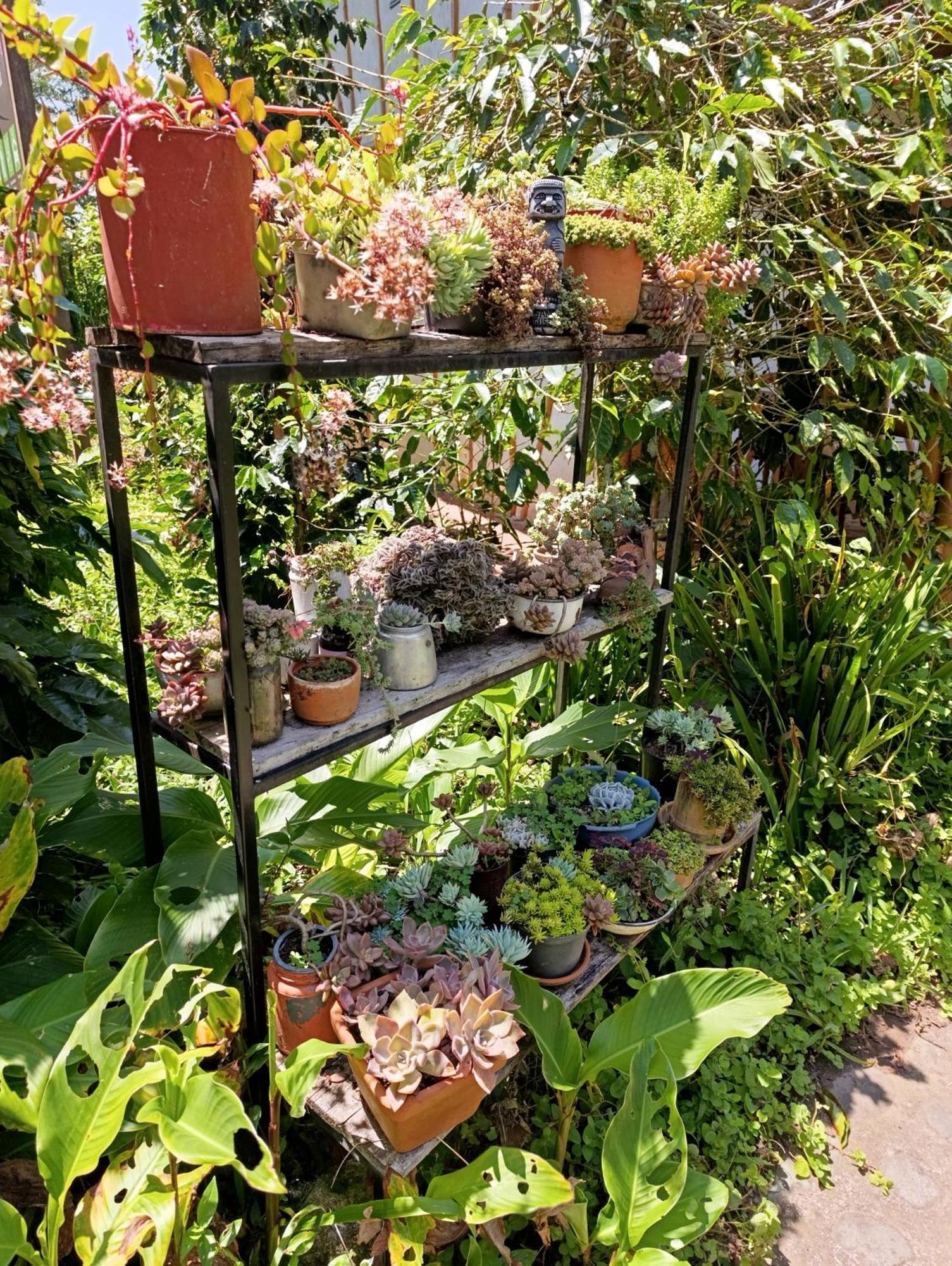 Casa Entera Finca Cometa San Agustín 외부 사진