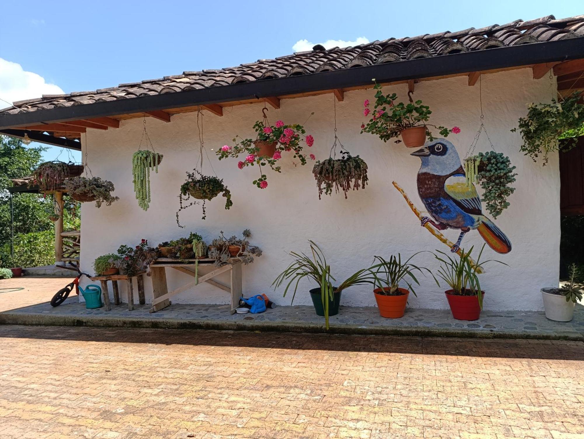 Casa Entera Finca Cometa San Agustín 외부 사진