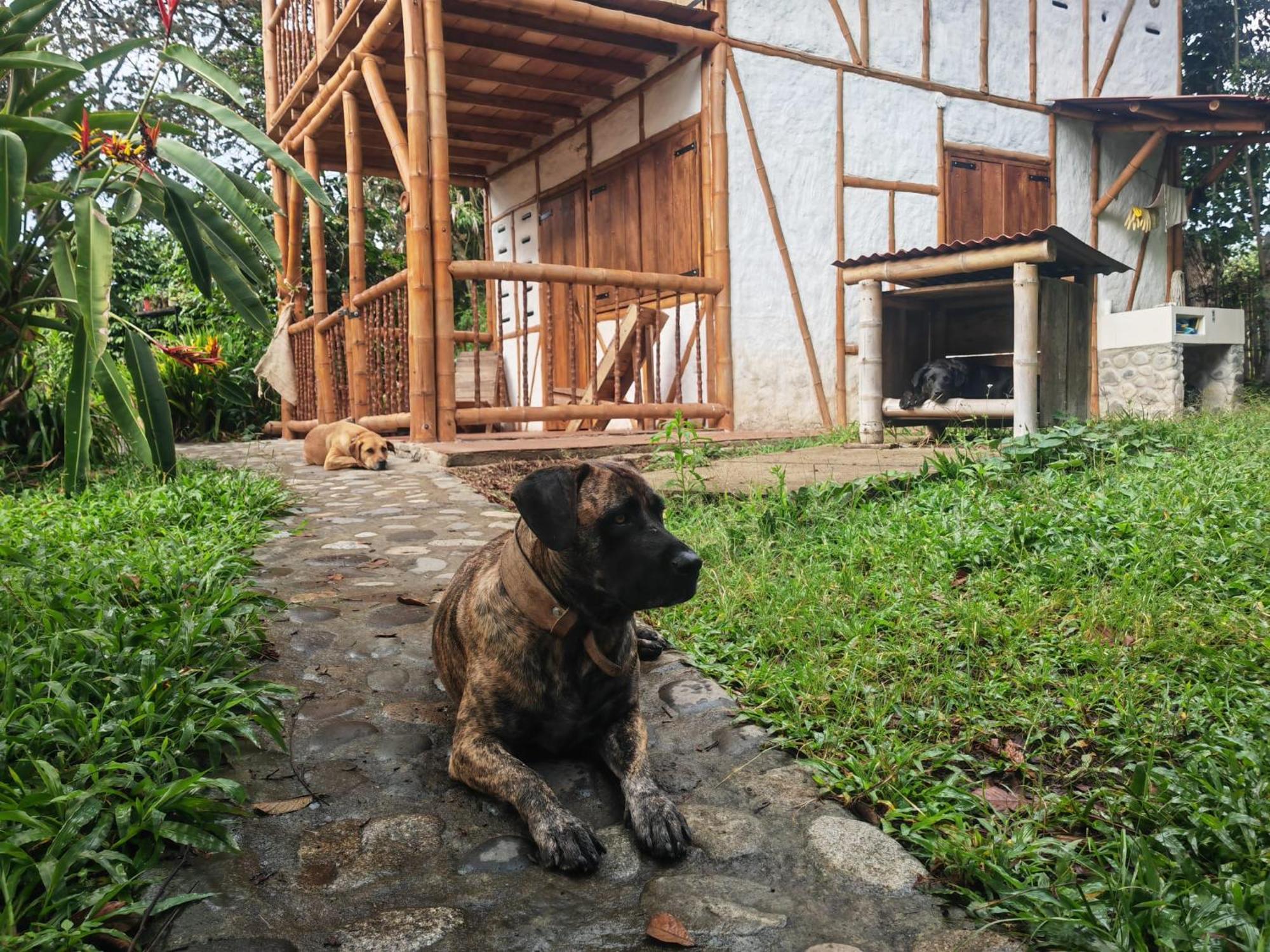 Casa Entera Finca Cometa San Agustín 외부 사진