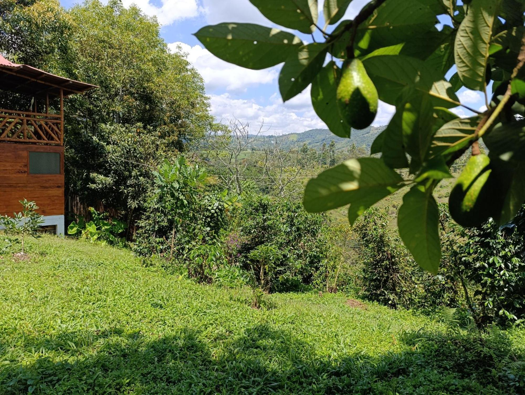 Casa Entera Finca Cometa San Agustín 외부 사진