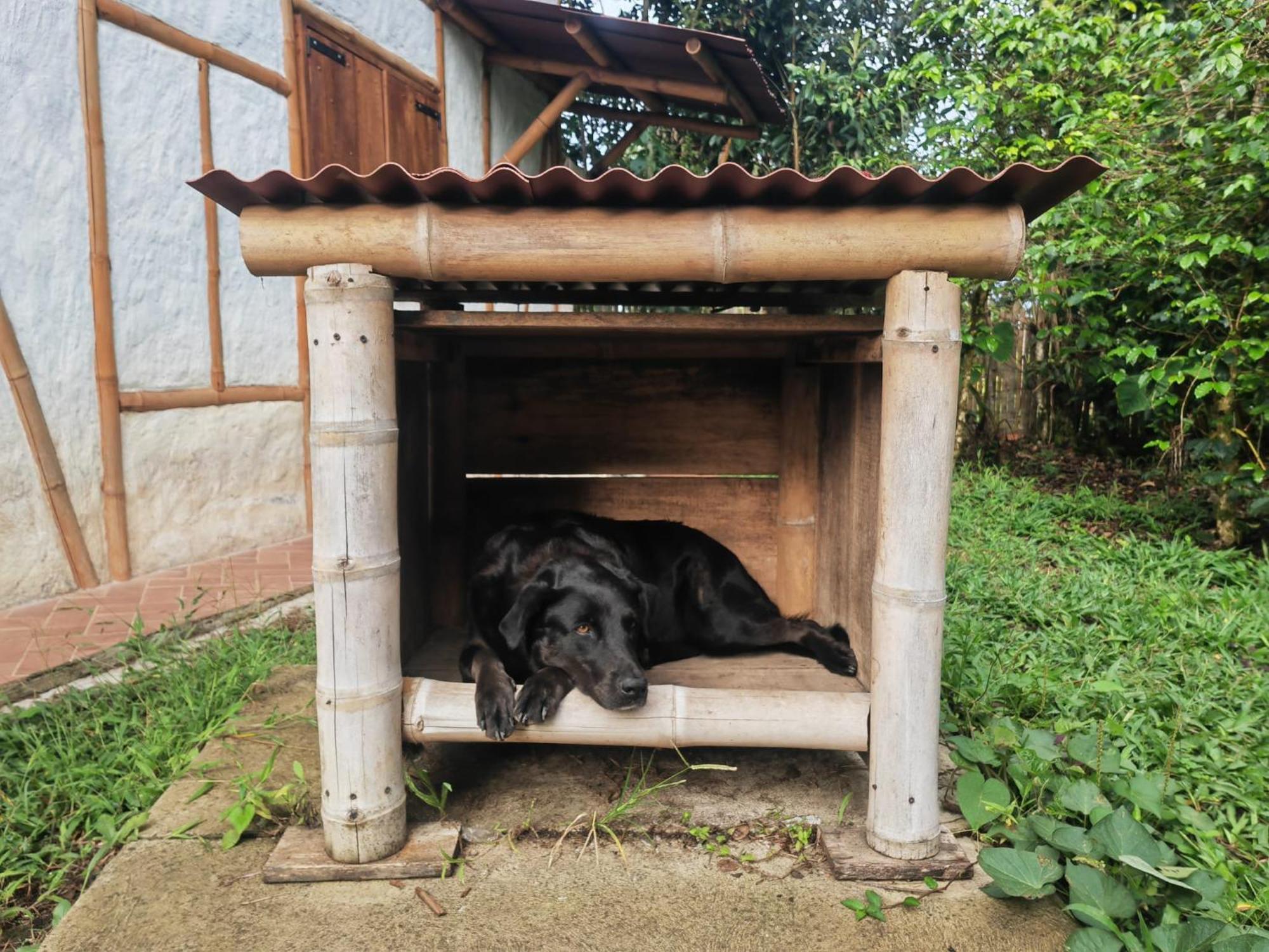 Casa Entera Finca Cometa San Agustín 외부 사진