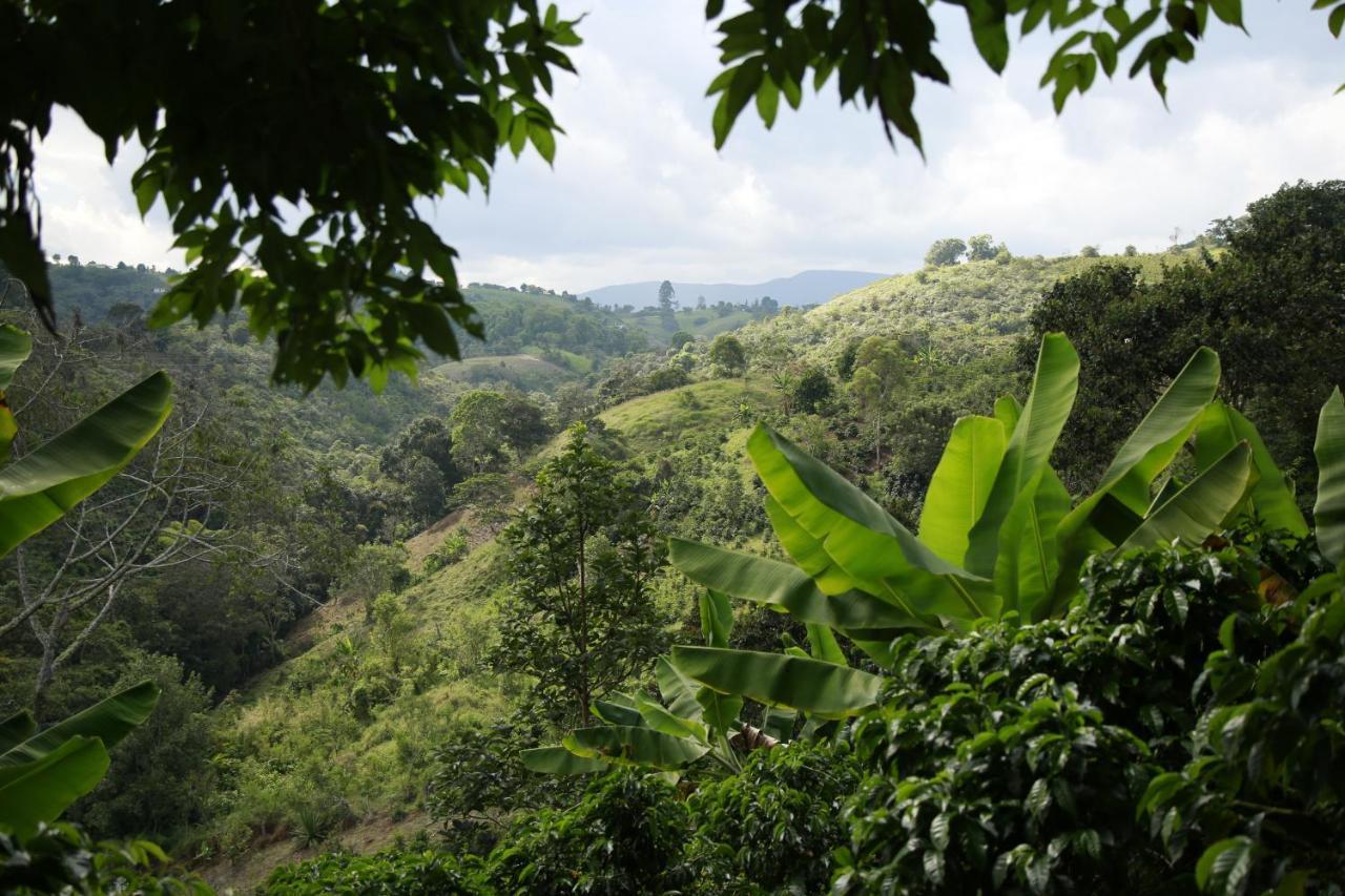 Casa Entera Finca Cometa San Agustín 외부 사진